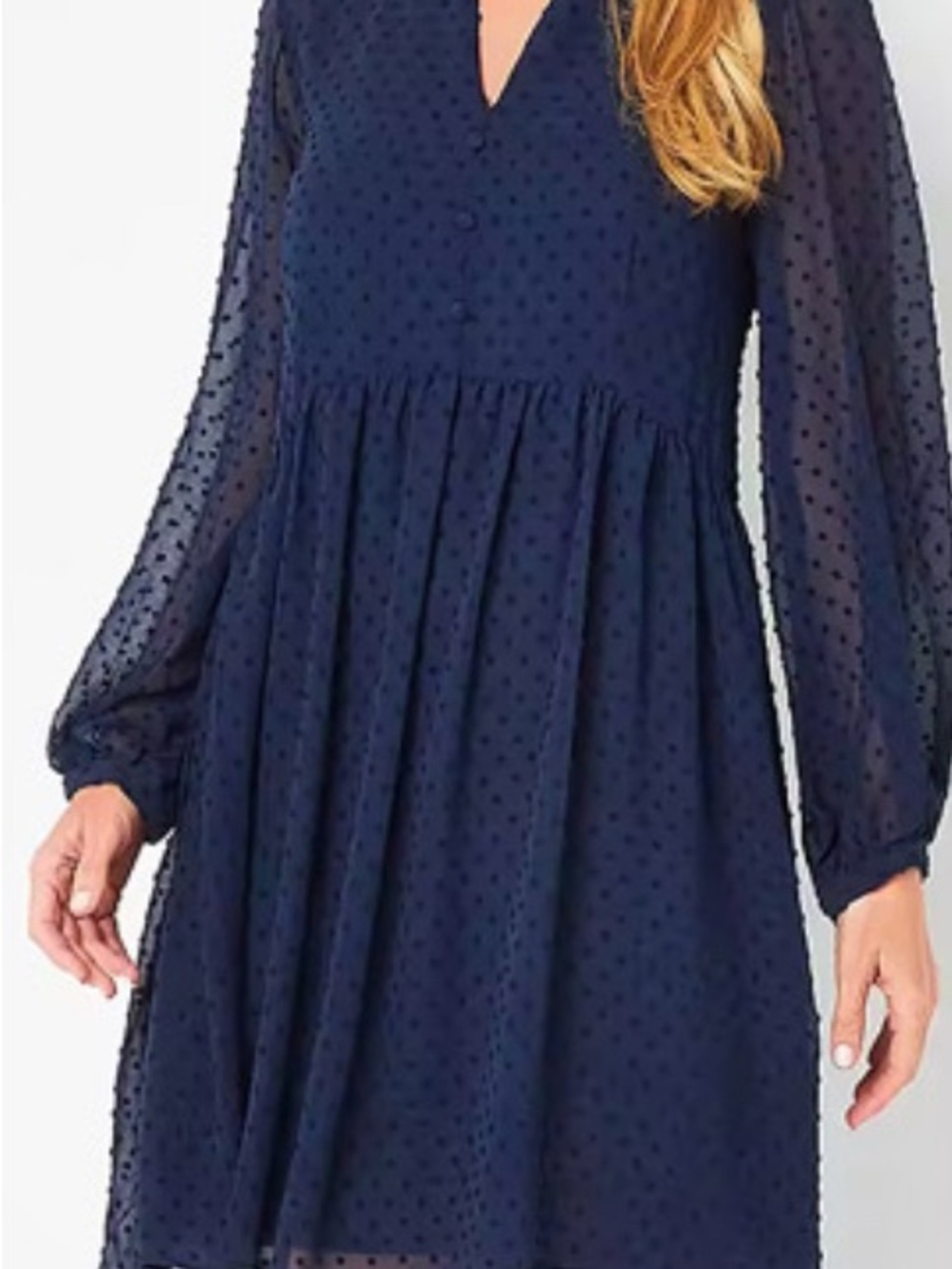 Sandra Darren Navy Blue Swiss dot swing long sleeve dress